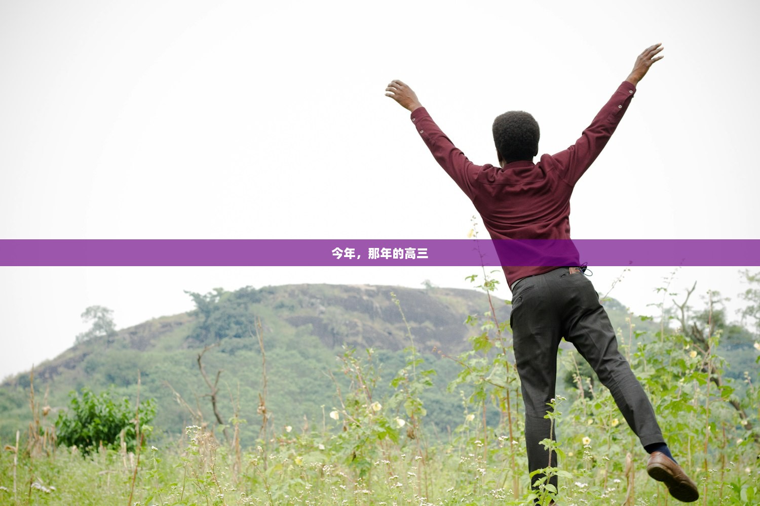 今年，那年的高三