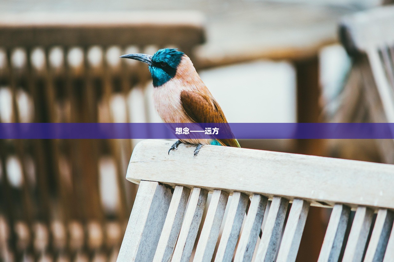 想念——远方