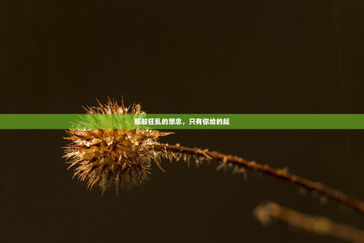 那般狂乱的想念，只有你给的起