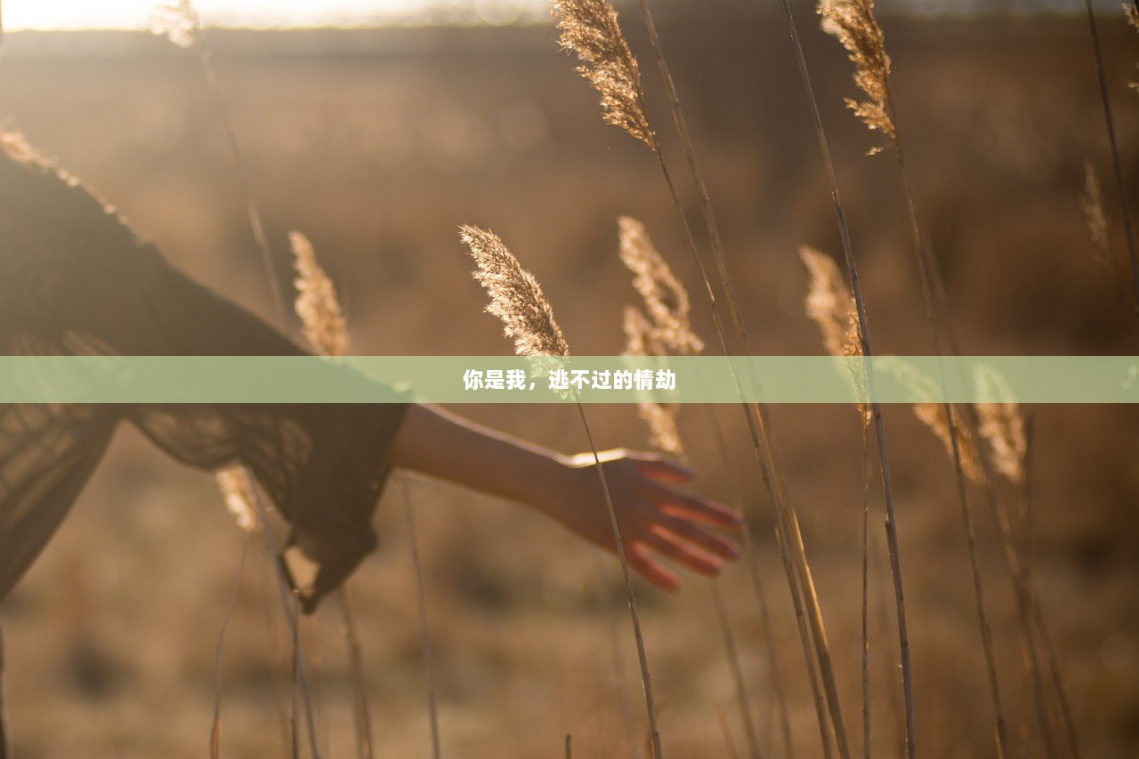 你是我，逃不过的情劫