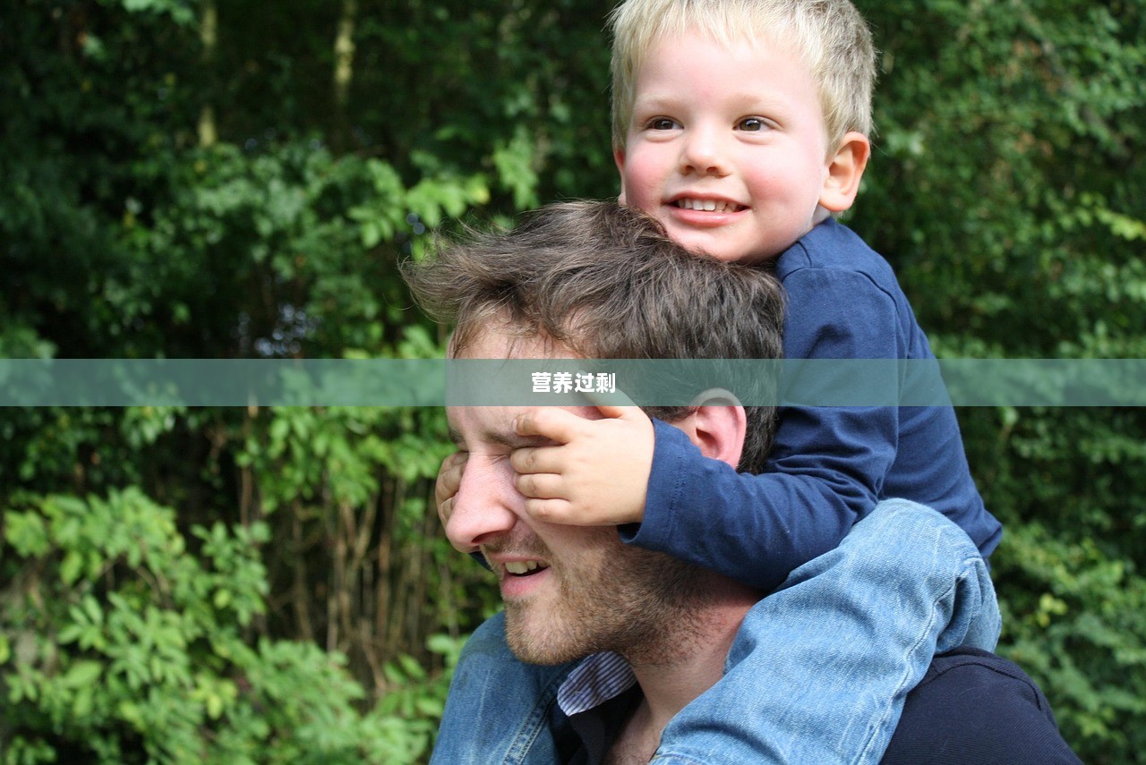 营养过剩  第1张