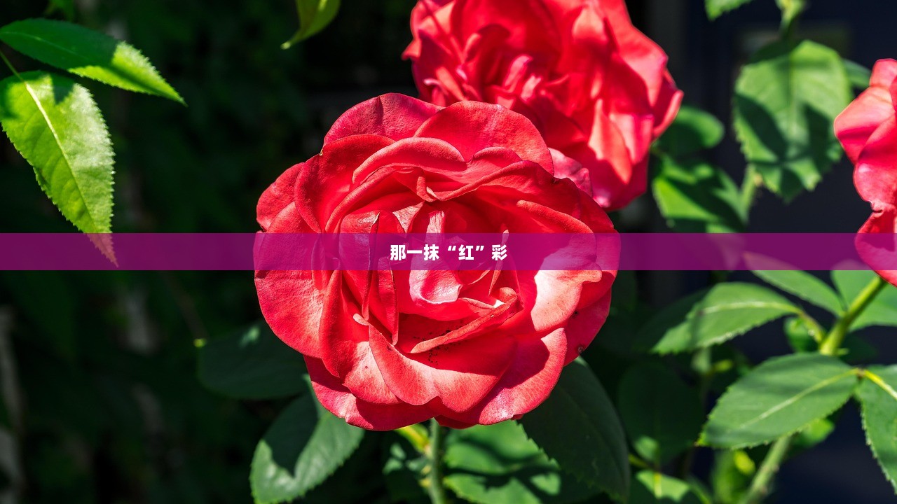 那一抹“红”彩
