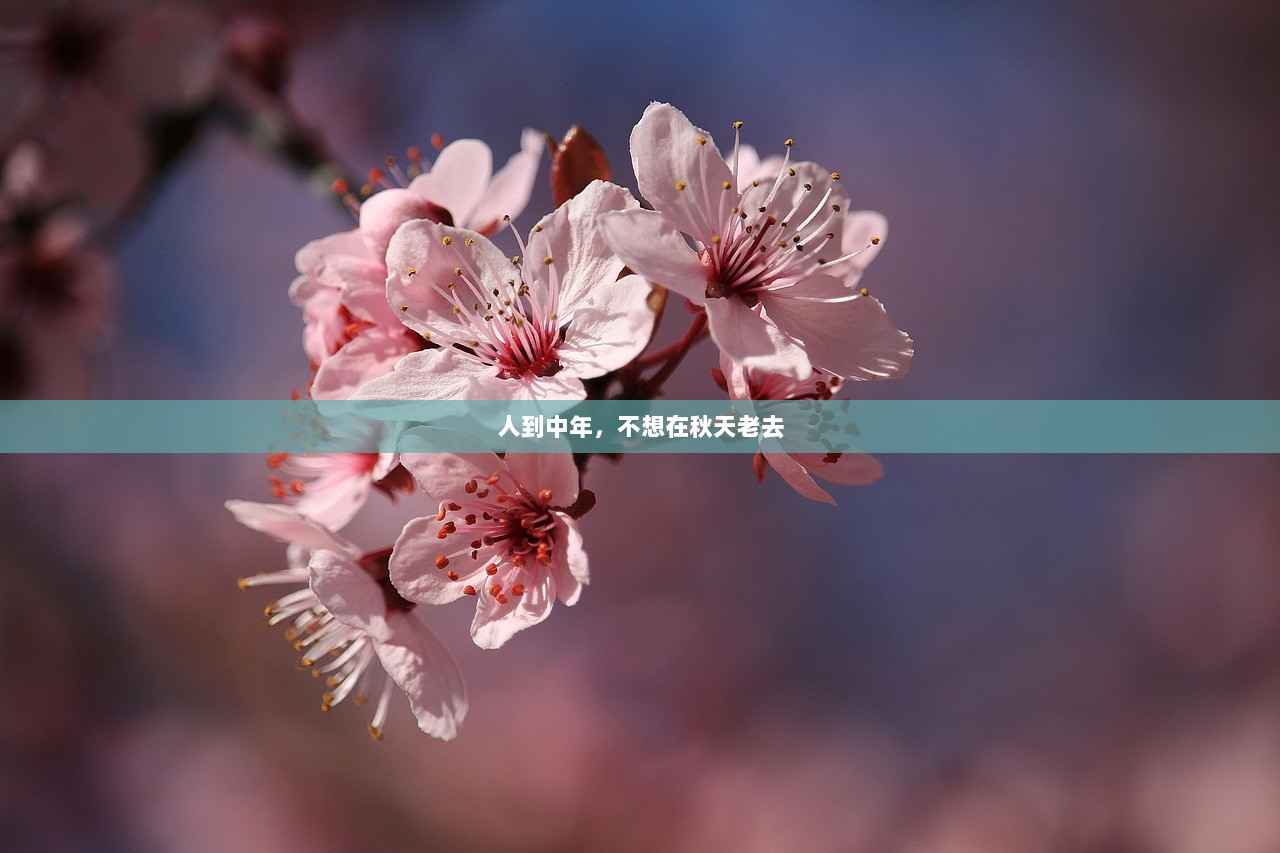 人到中年，不想在秋天老去