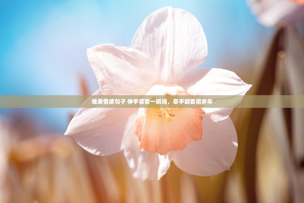 唯美情感句子 伸手需要一瞬间，牵手却要很多年