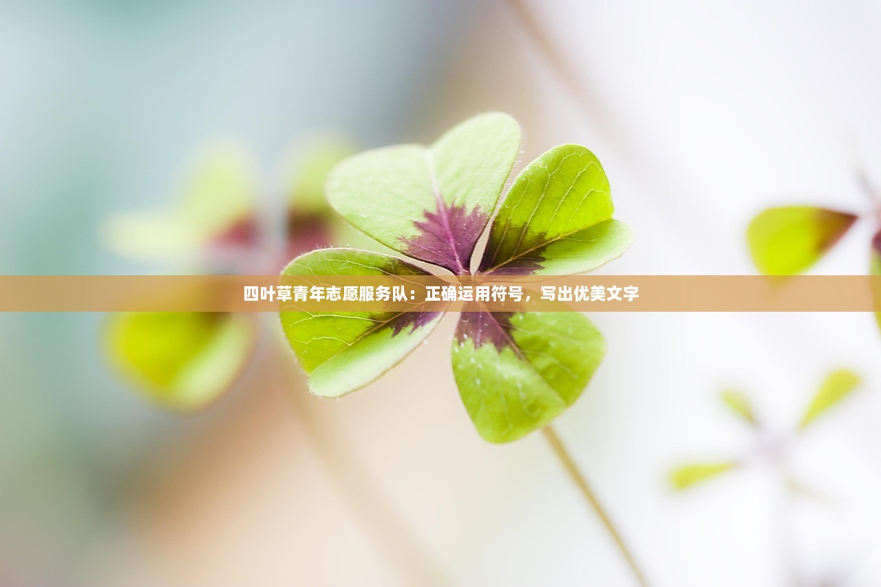 四叶草青年志愿服务队：正确运用符号，写出优美文字