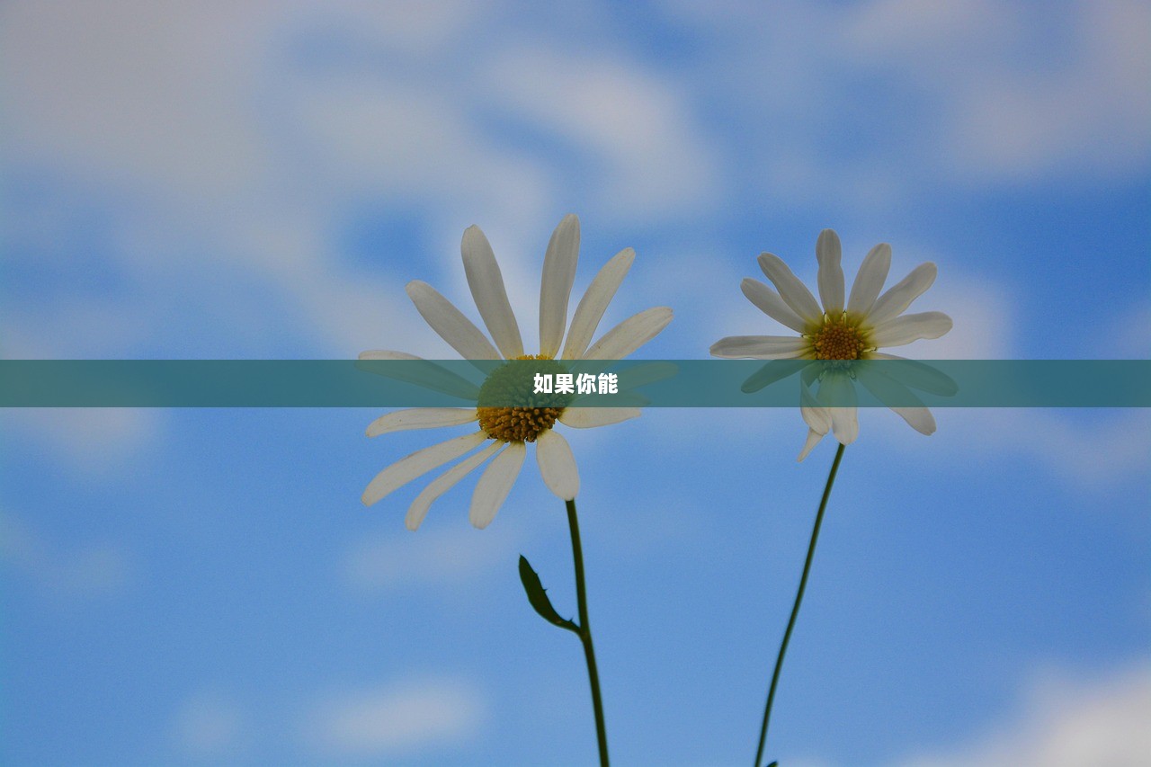 如果你能