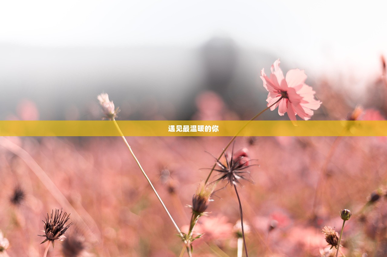 遇见最温暖的你
