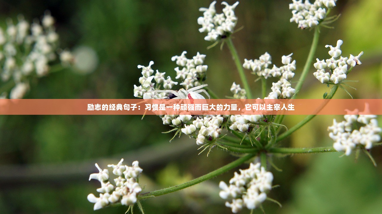 励志的经典句子：习惯是一种顽强而巨大的力量，它可以主宰人生