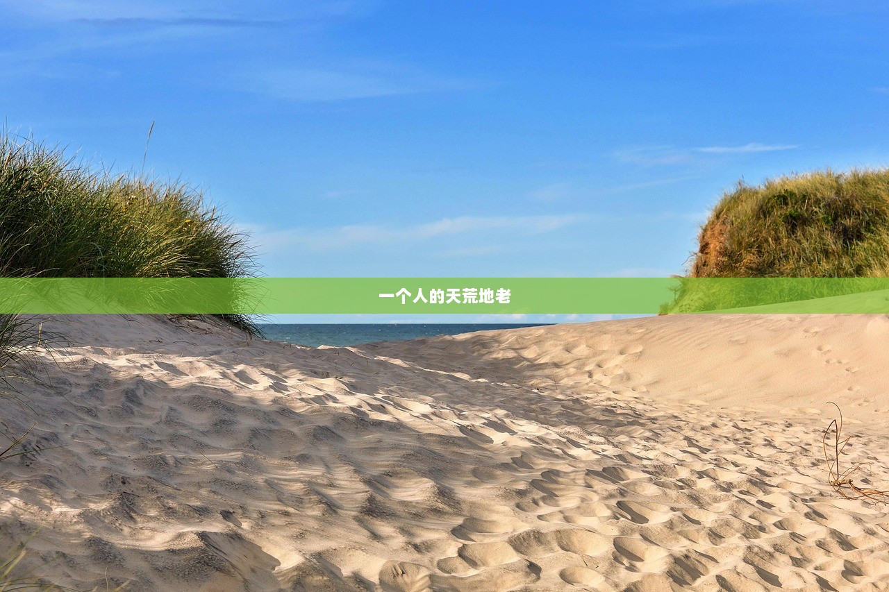 一个人的天荒地老 第1张 一个人的天荒地老 第1张