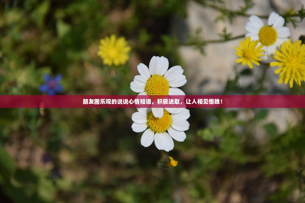 朋友圈乐观的说说心情短语，积极进取，让人相见恨晚！  第1张