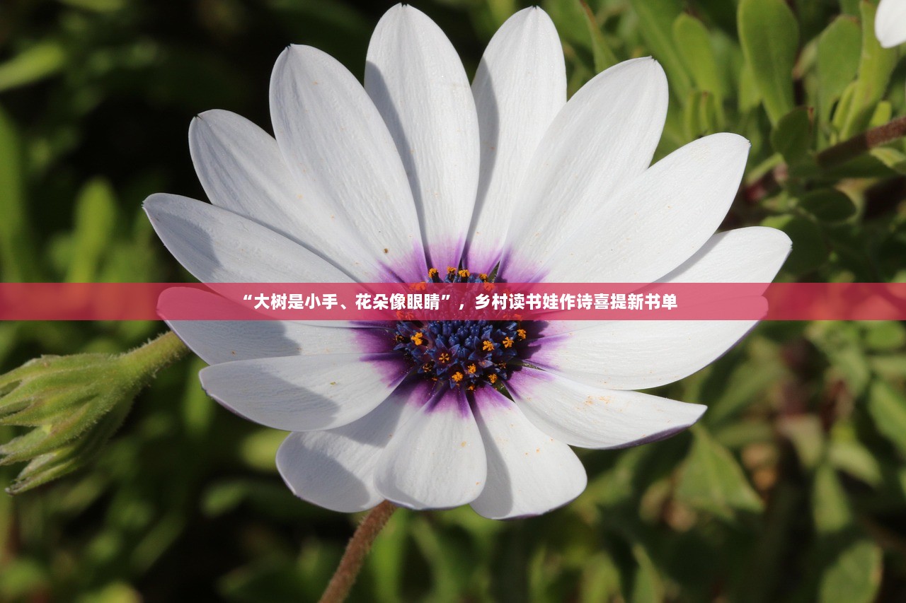 “大树是小手、花朵像眼睛”，乡村读书娃作诗喜提新书单  第1张