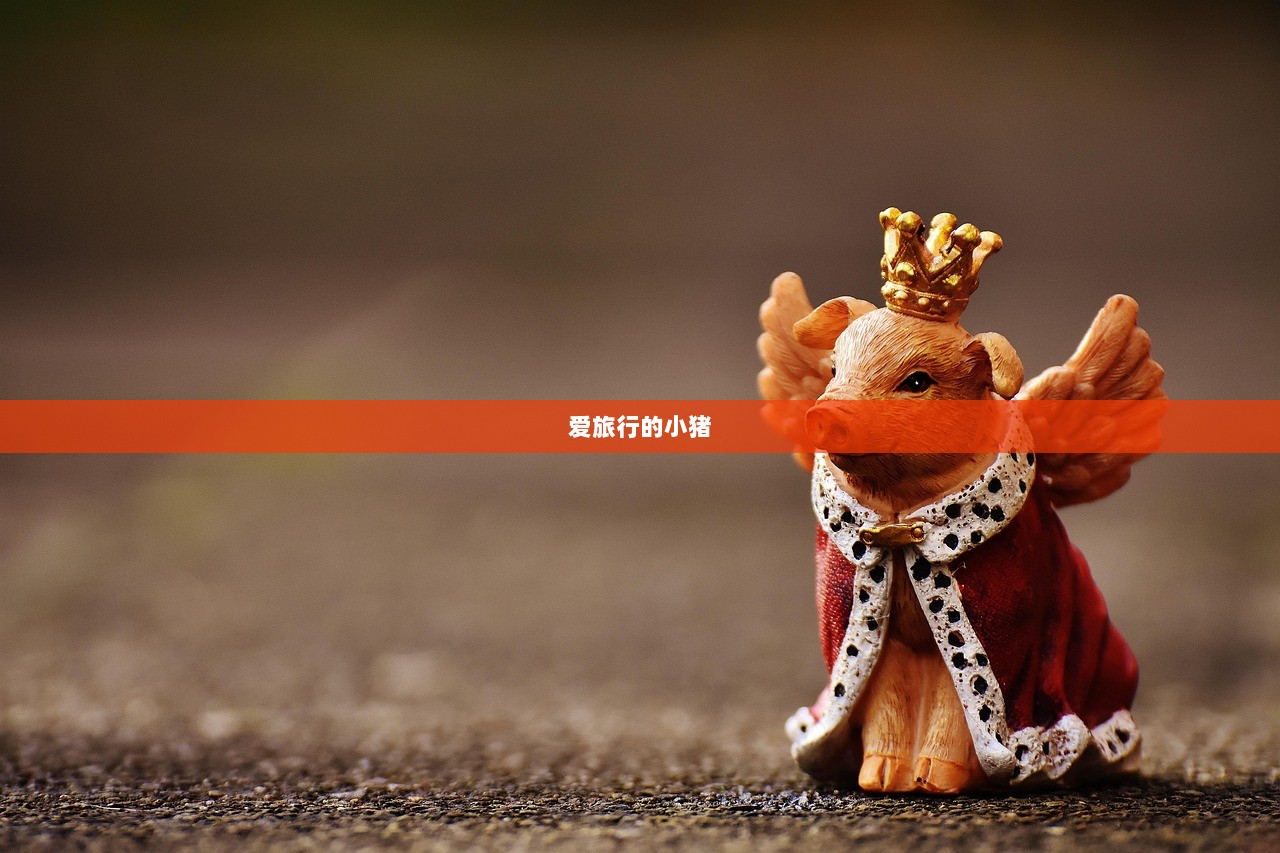 爱旅行的小猪