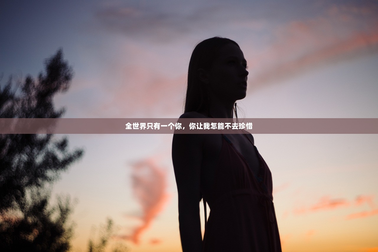 全世界只有一个你，你让我怎能不去珍惜