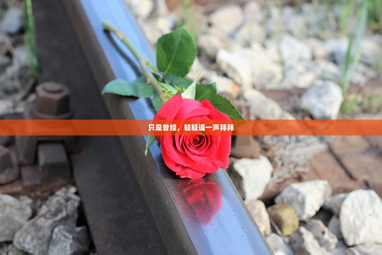 只是曾经，轻轻道一声拜拜
