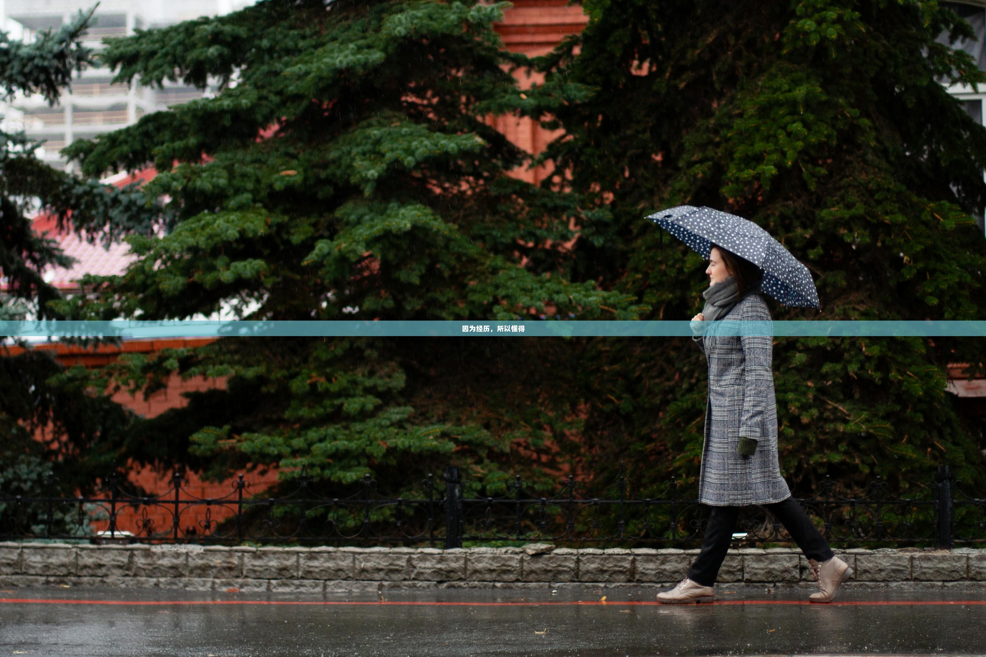 因为经历，所以懂得