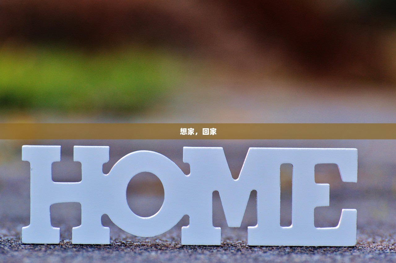 想家，回家
