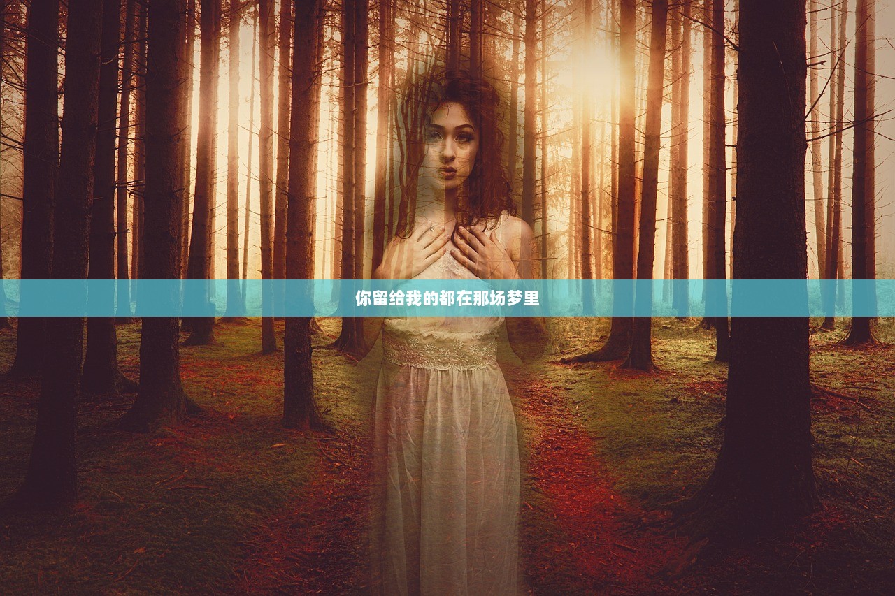 你留给我的都在那场梦里  第1张
