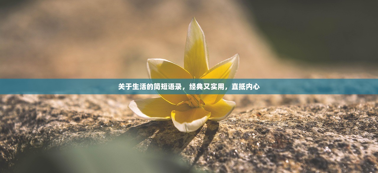关于生活的简短语录，经典又实用，直抵内心
