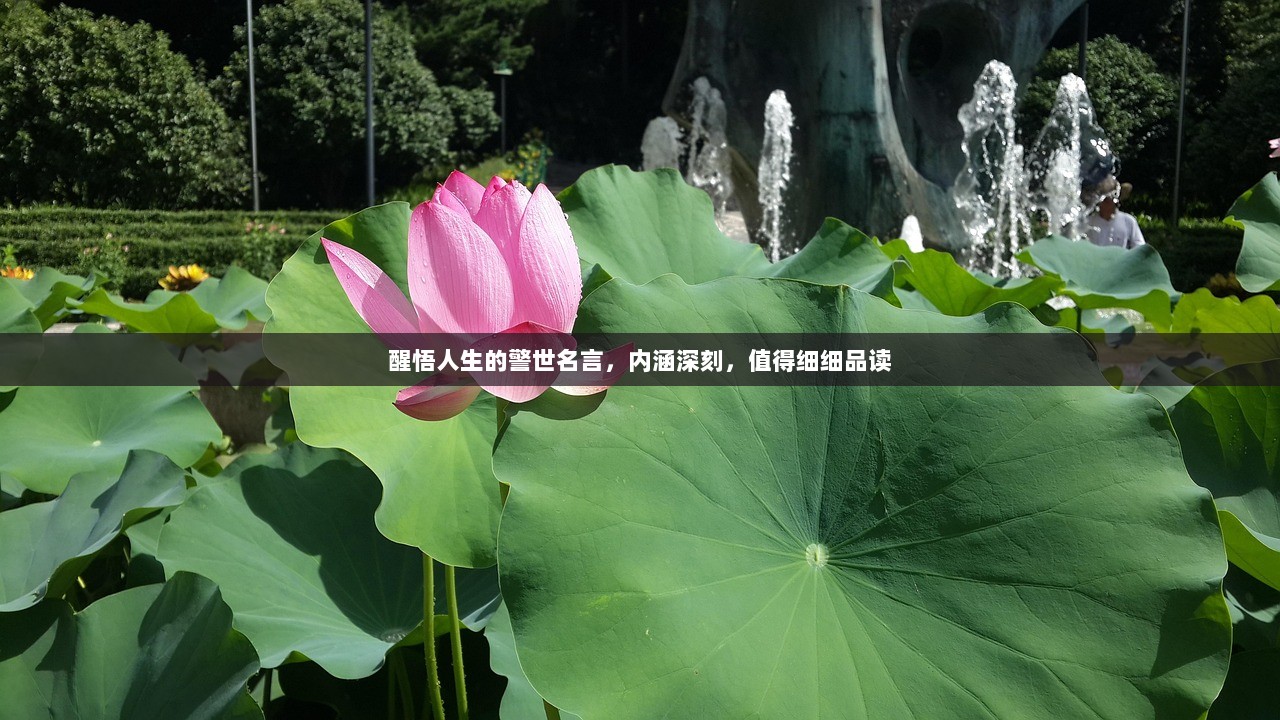 醒悟人生的警世名言，内涵深刻，值得细细品读