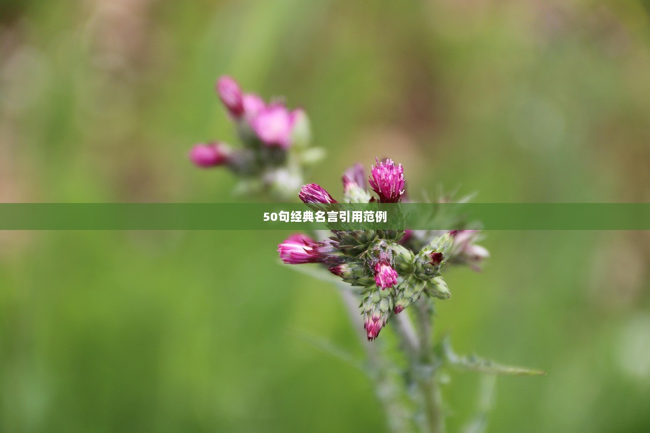 50句经典名言引用范例