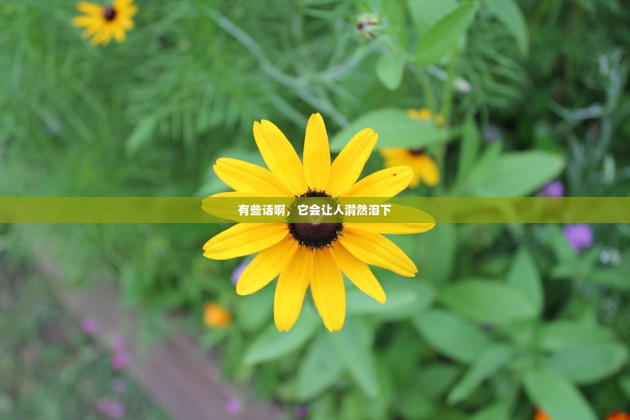 有些话啊，它会让人潸然泪下