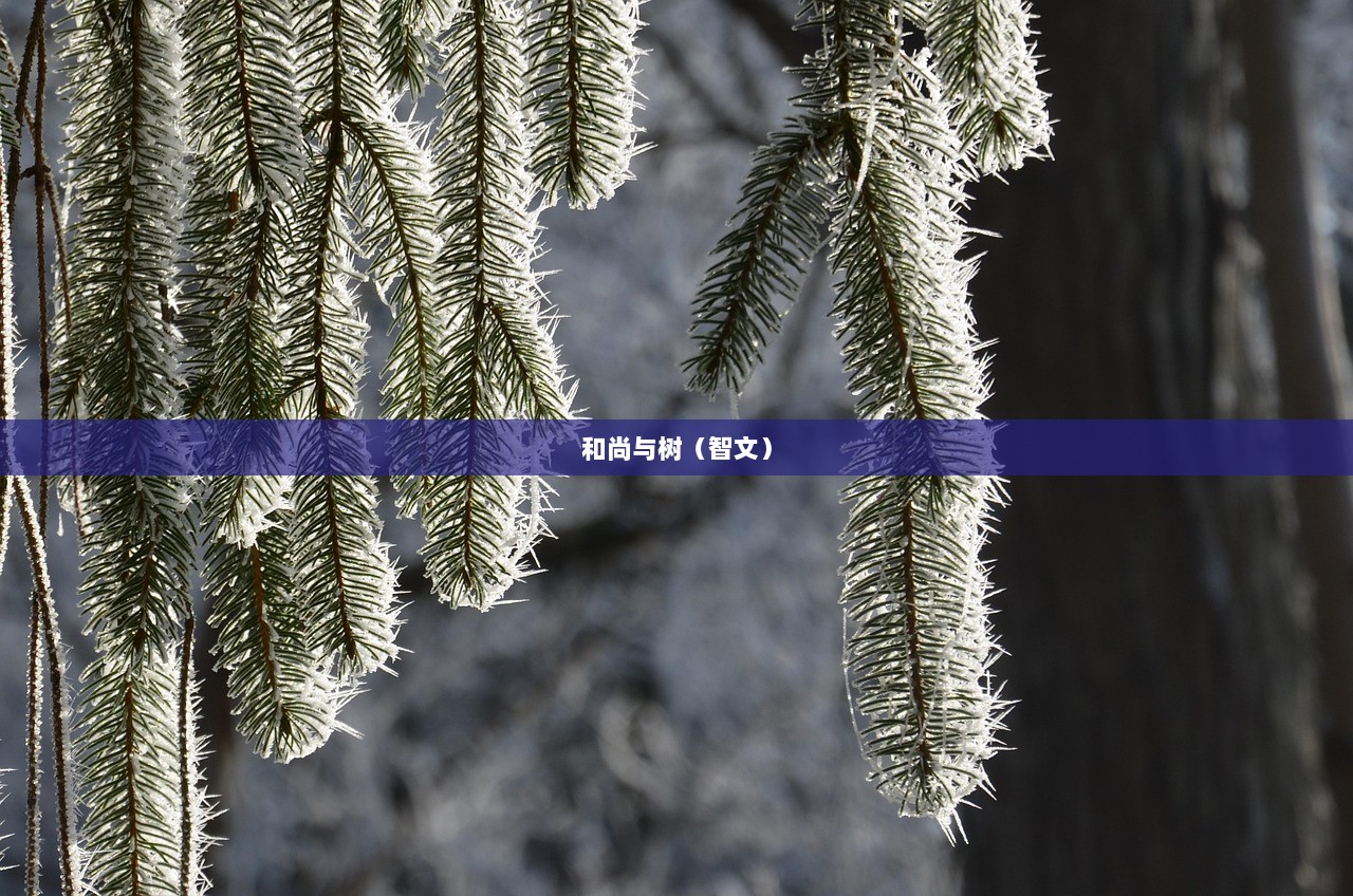 和尚与树（智文）