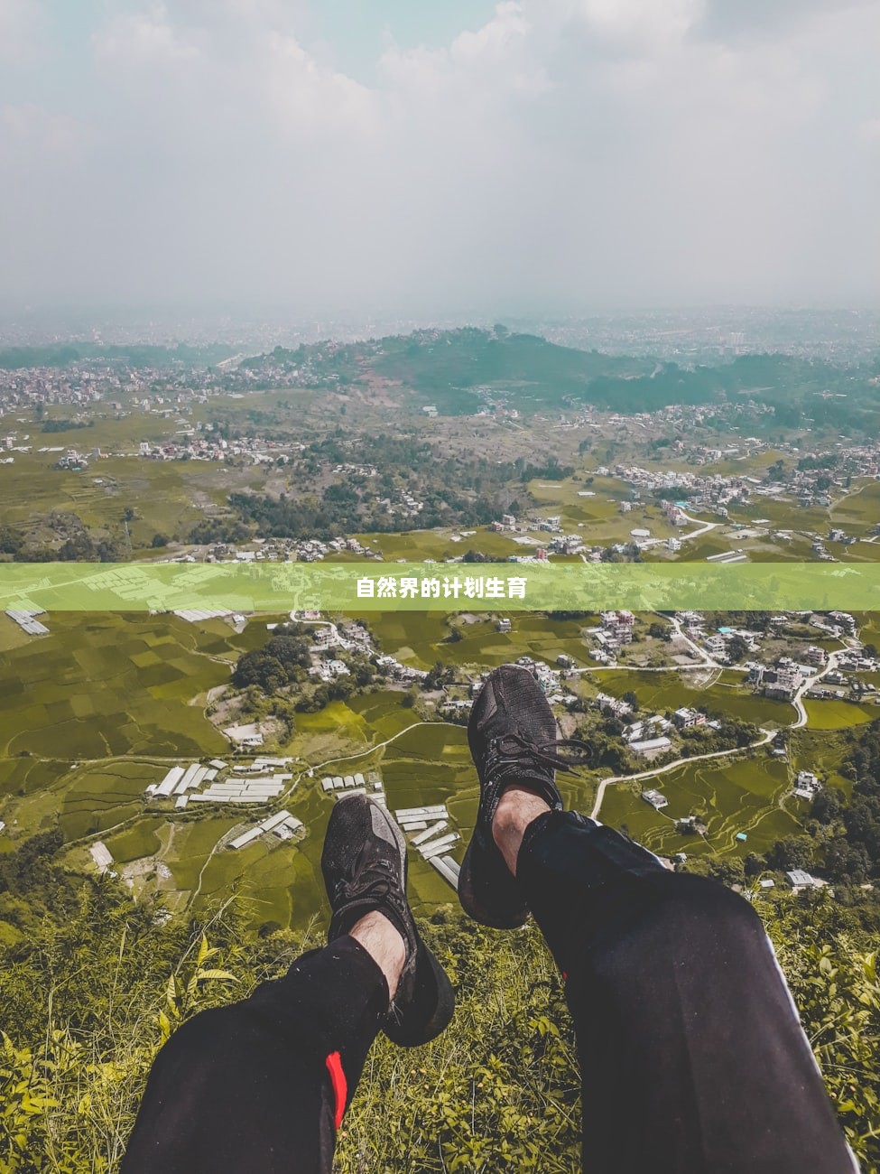 自然界的计划生育