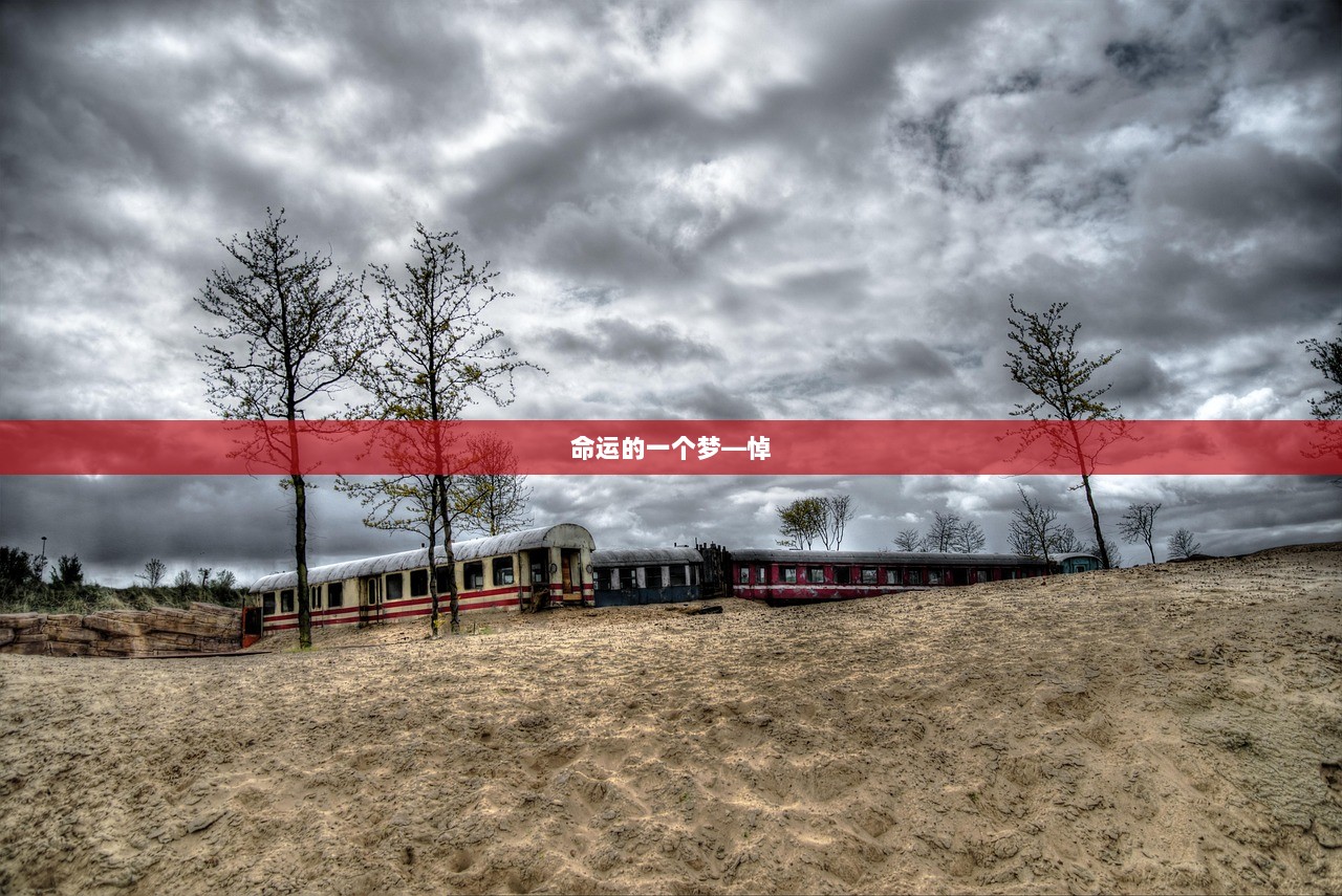 命运的一个梦―悼