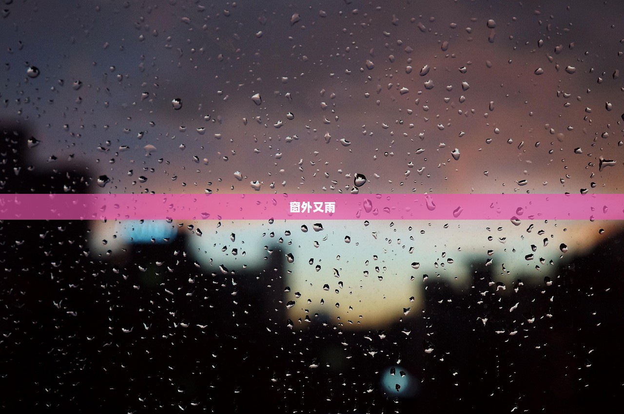 窗外又雨