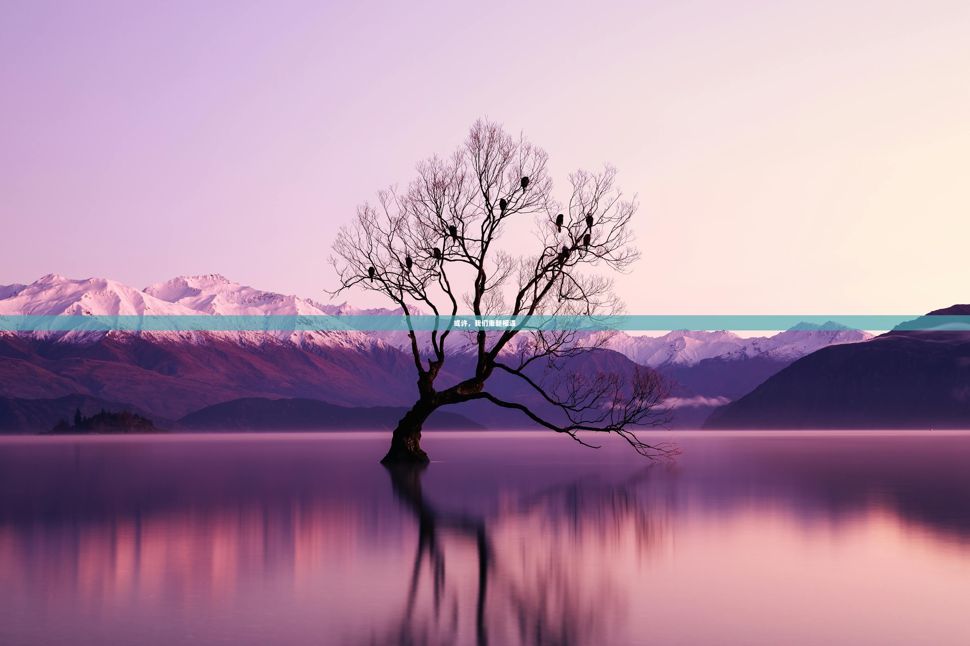 或许，我们重新相遇