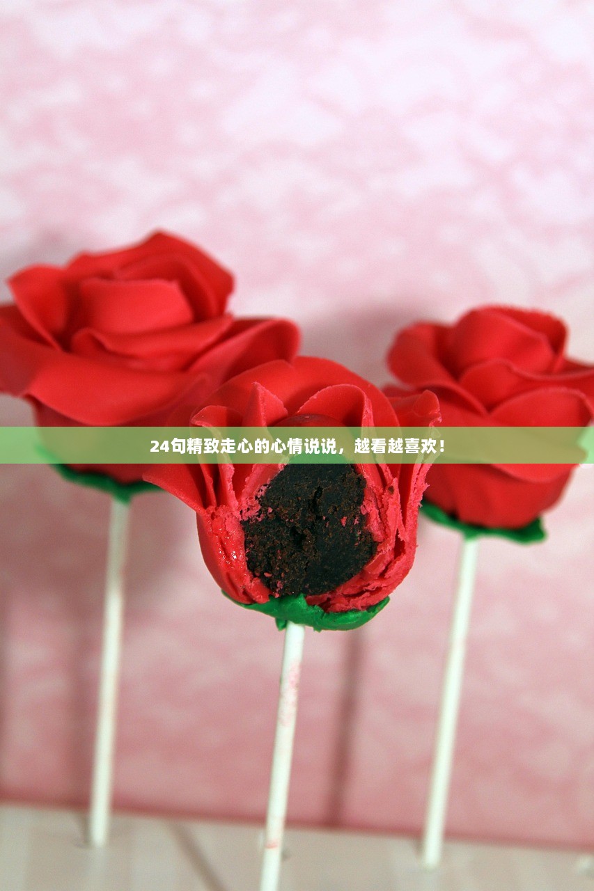 24句精致走心的心情说说，越看越喜欢！