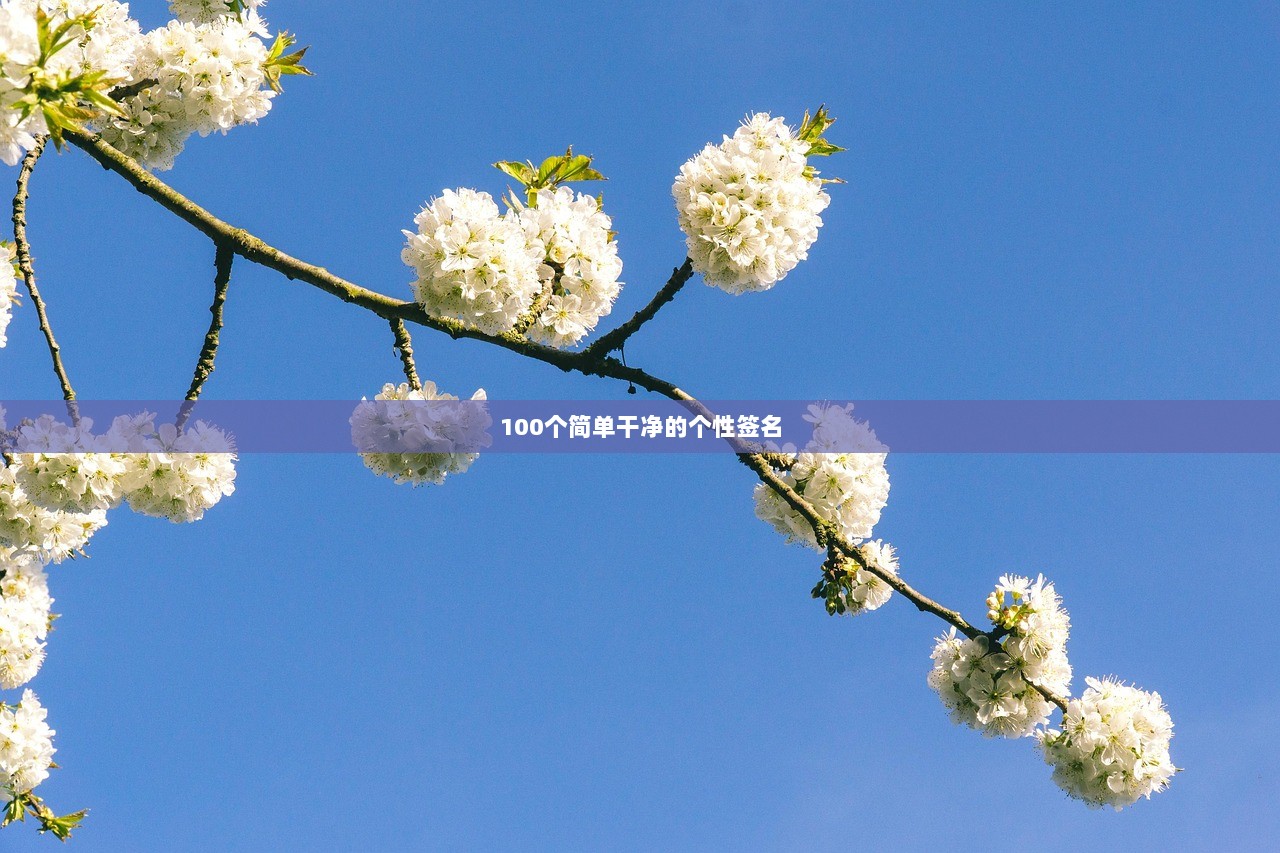 100个简单干净的个性签名