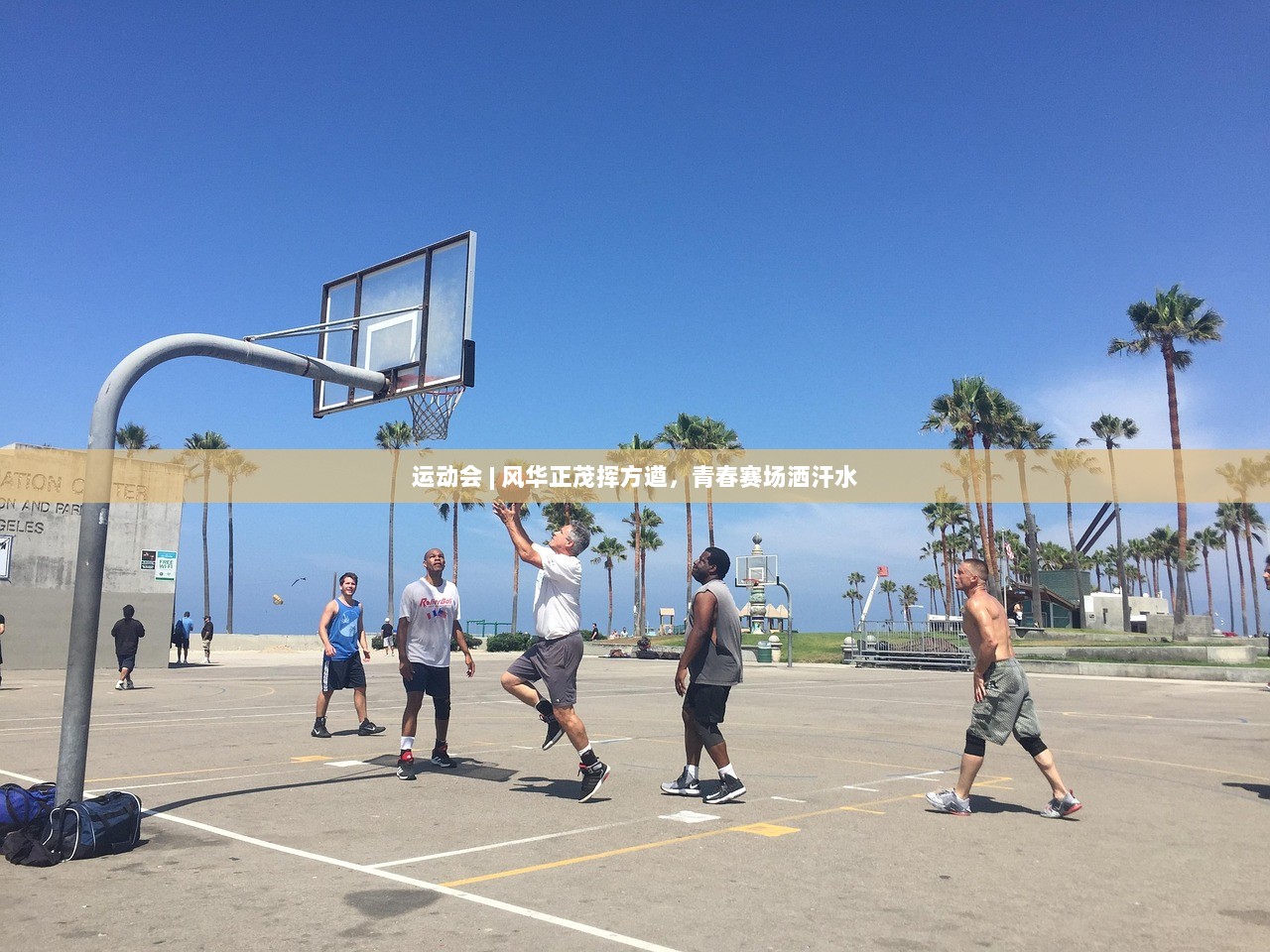 运动会 | 风华正茂挥方遒，青春赛场洒汗水